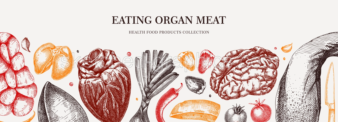 Internal organs banner. Liver, heart, kindle, tongue, offal, organ meat background. Ingredients, meat product, healthy food sketch. Engraved vector food illustration. Butchery design elements. Illustration
